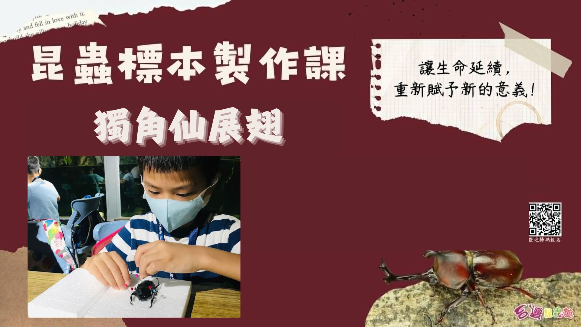 4/06(一) 15:00-16:00『獨角仙展翅』標本製作課